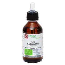 FICO RADICHETTE MACERATO GLICERICO 100 ML BIO