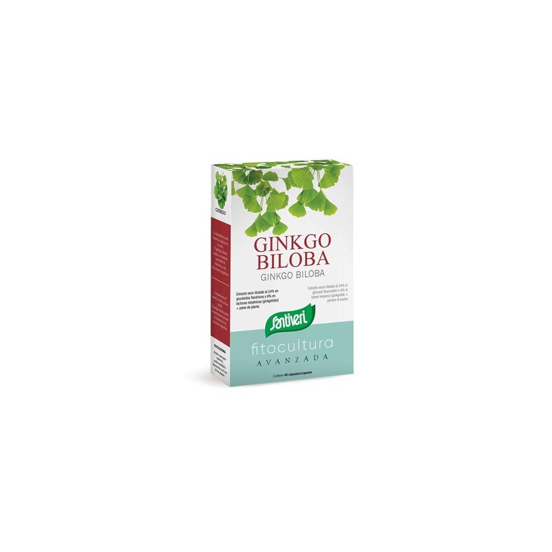 GINKGO BILOBA 40 CAPSULE