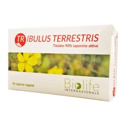 TRIBULUS TERRESTRIS 60 CAPSULE
