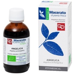 ANGELICA TINTURA MADRE 50 ML BIO