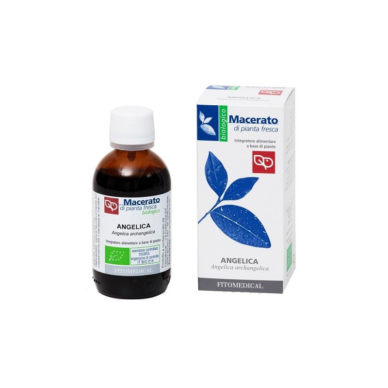 ANGELICA TINTURA MADRE 50 ML BIO