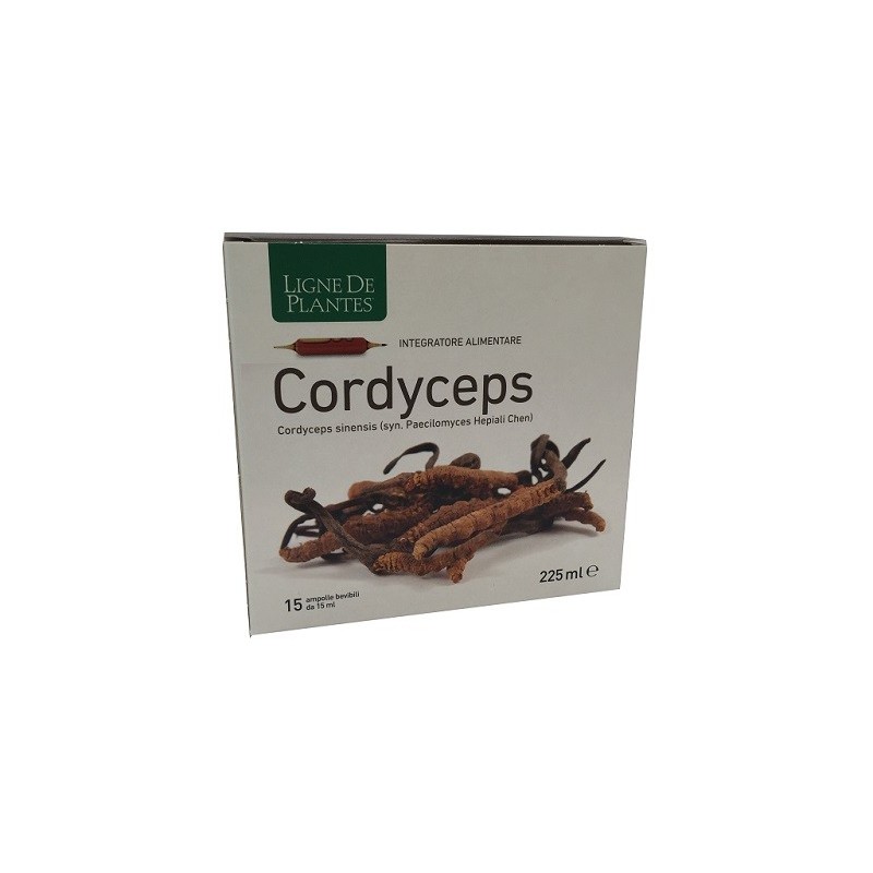 CORDYCEPS 15 AMPOLLE BEVIBILI DA 15 ML