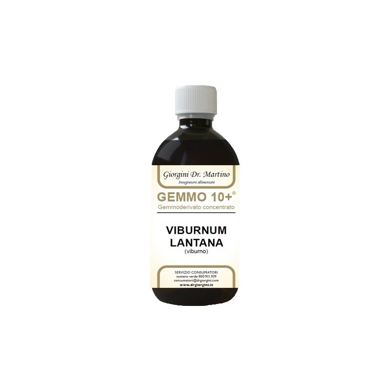 VIBURNO LIQUIDO ANALCOLICO GEMMO 10+ 500 ML