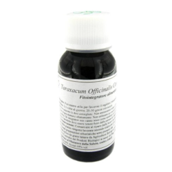 LVS 19N ALCHEMILLA VULGARIS COMPOSITUM scad. fine 12/2025