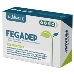 NUTRACLE FEGADEP 40 COMPRESSE DA 550 MG