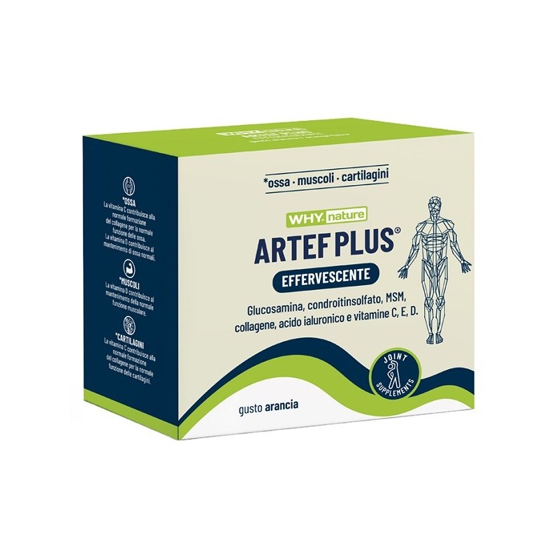 WHYNATURE ARTEF PLUS 24 BUSTINE
