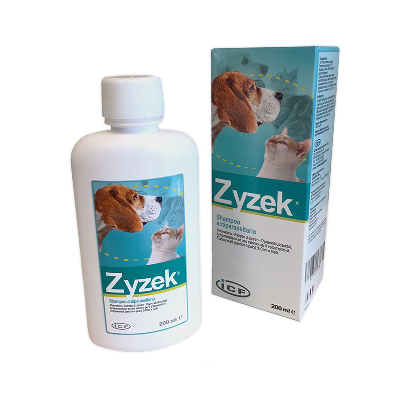ZYZEK SHAMPOO ANT*FL PE 200ML