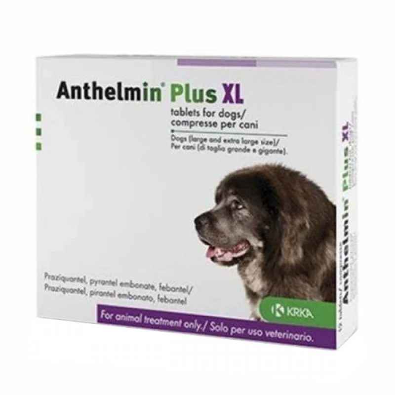 ANTHELMIN PLUS XL*2CPR ANTHELMIN PLUS XL*2CPR