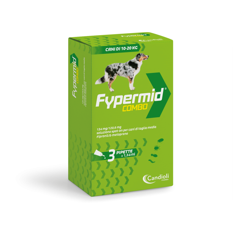 FYPERMID COMBO*3PIP 134+120,6