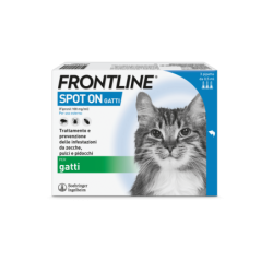 FRONTLINE*3PIP GATTI