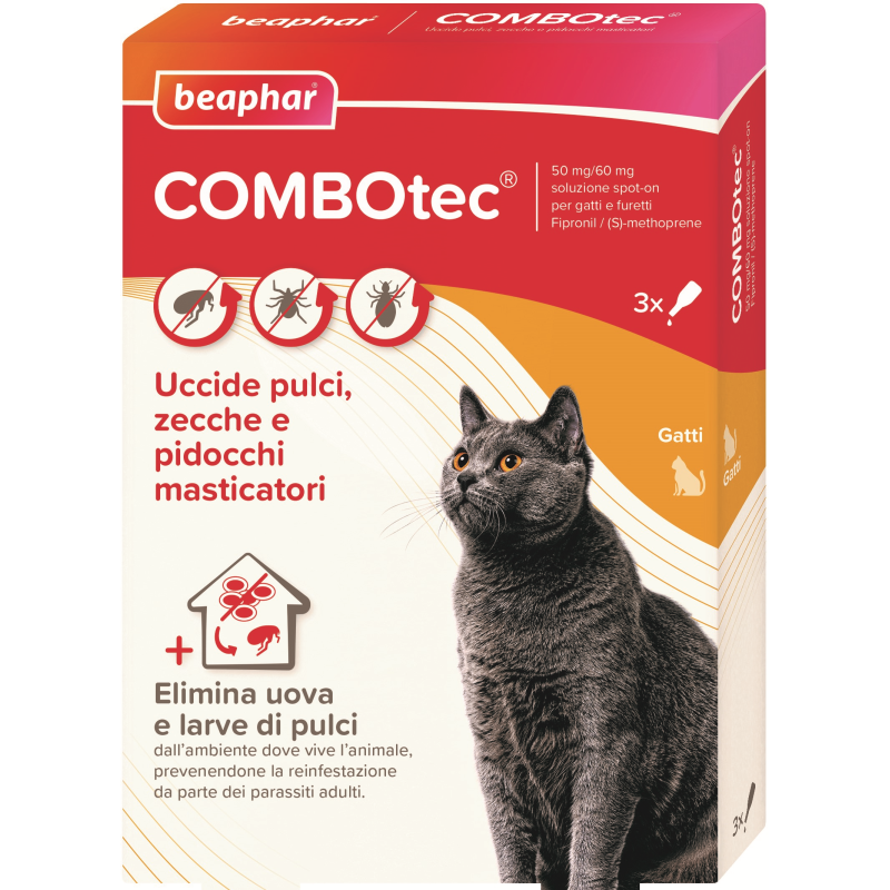 COMBOTEC*3PIP GATTI/FURET