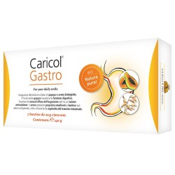 CARICOL-GASTRO 7 BUSTINE DA 20 G SENZA LATTOSIO
