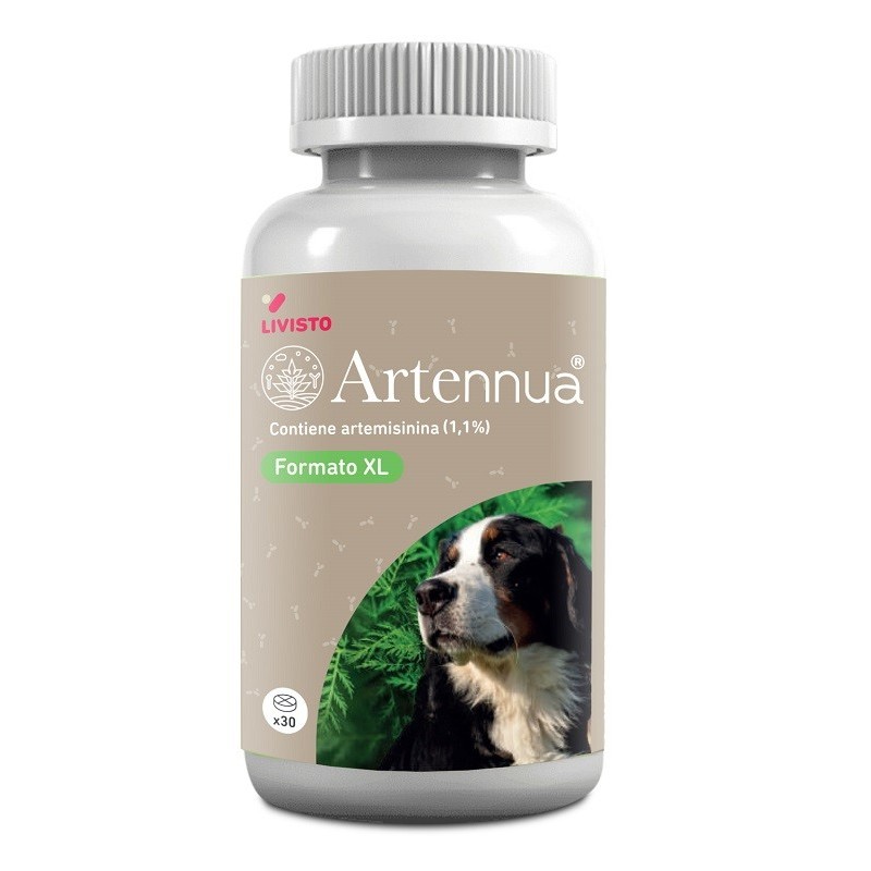 ARTENNUA XL 30 COMPRESSE