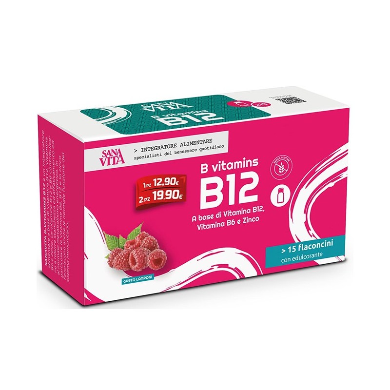 SANAVITA B VITAMINS B12 15 FLACONCINI