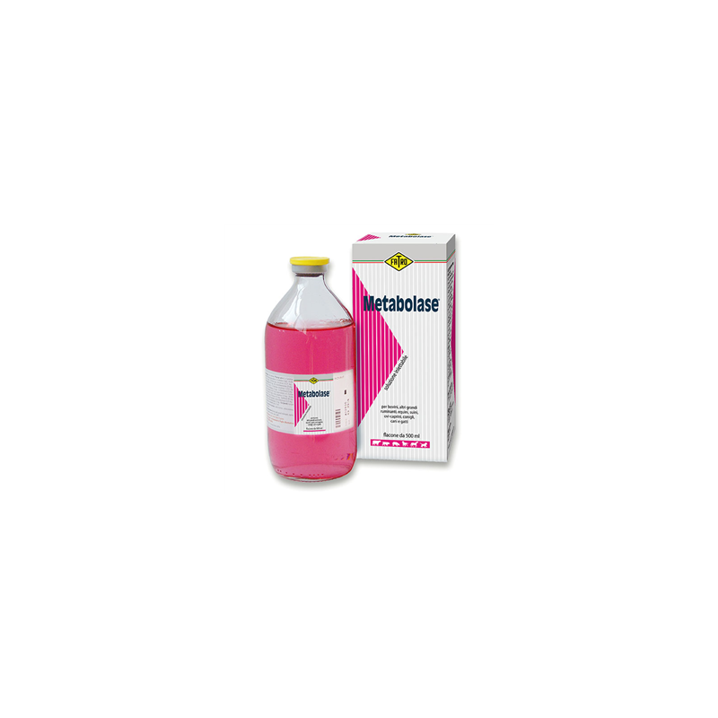 METABOLASE*INIET FL 500ML METABOLASE*INIET FL 500ML