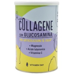 VITAMIN DAY COLLAGENE ARTICOLAZIONI 360 G