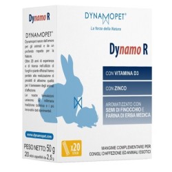DYNAMO R 20 STICK DA 2,5 G