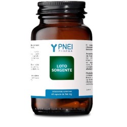 LOTO SORGENTE 60 CAPSULE 566 MG NUOVA FORMULA