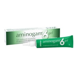 AMINOGAM 6 GEL TUBO 15 ML