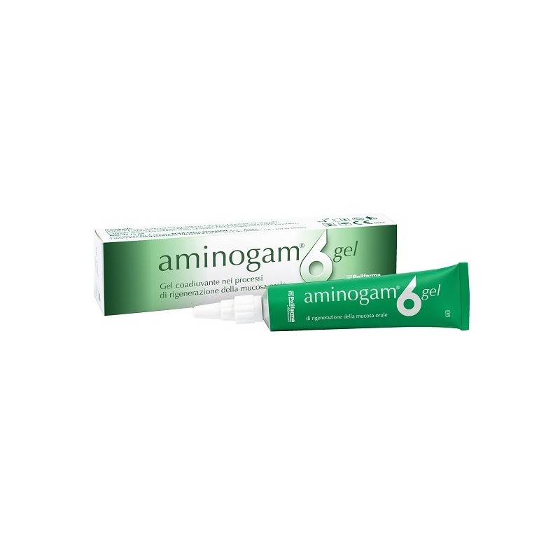 AMINOGAM 6 GEL TUBO 15 ML