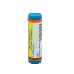ARNICA MONTANA*200CH GL 1G
