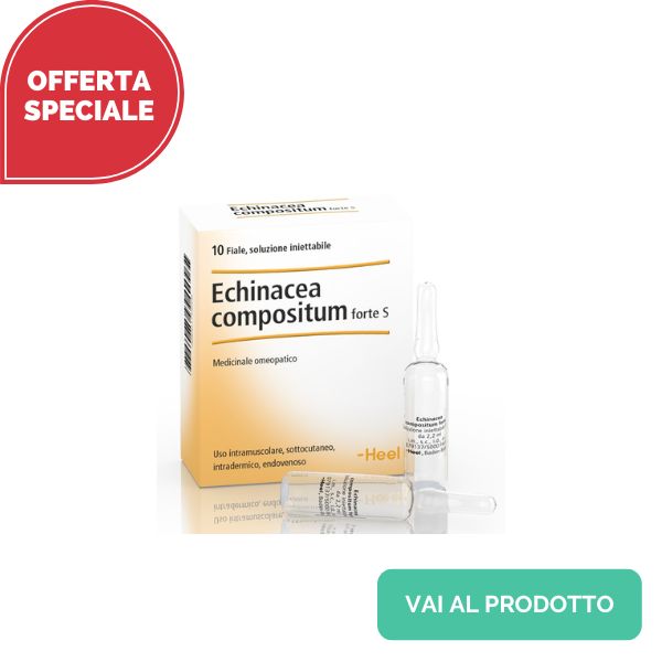 Immagine Miglior integratore di Echinacea: benefici difese immunitarie