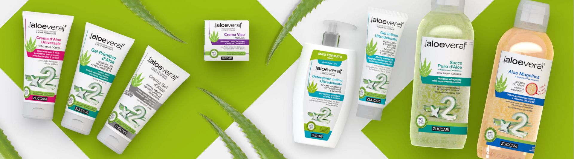Immagine I benefici dell'Aloe