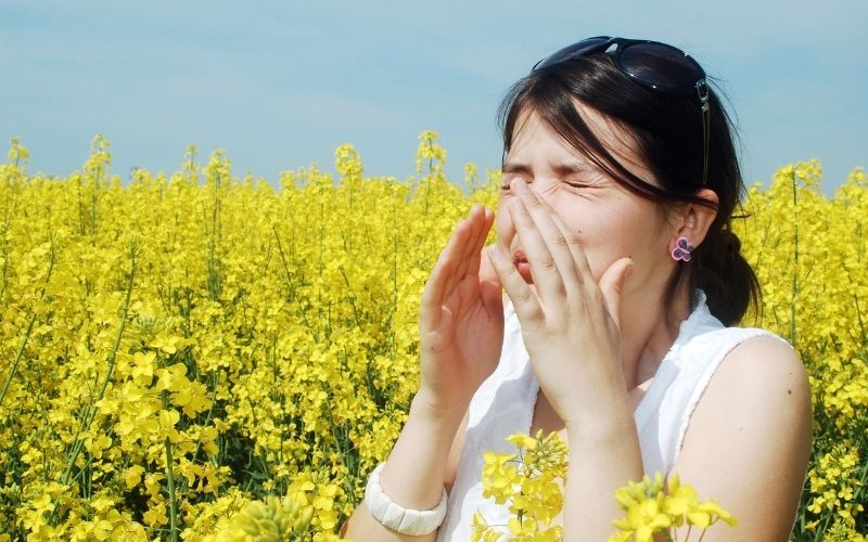 Allergia al polline descrizione, sintomi e rimedi consigliati