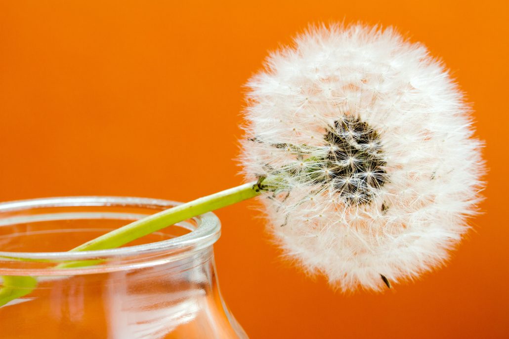 Cenni brevi sulle allergie stagionali