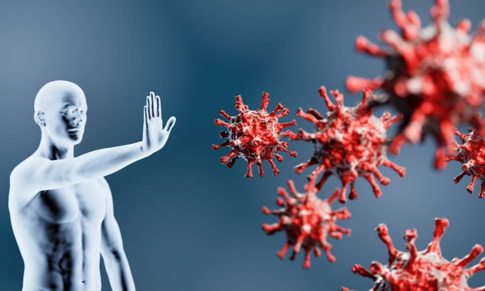 Cosa mangiare per aumentare difese immunitarie?