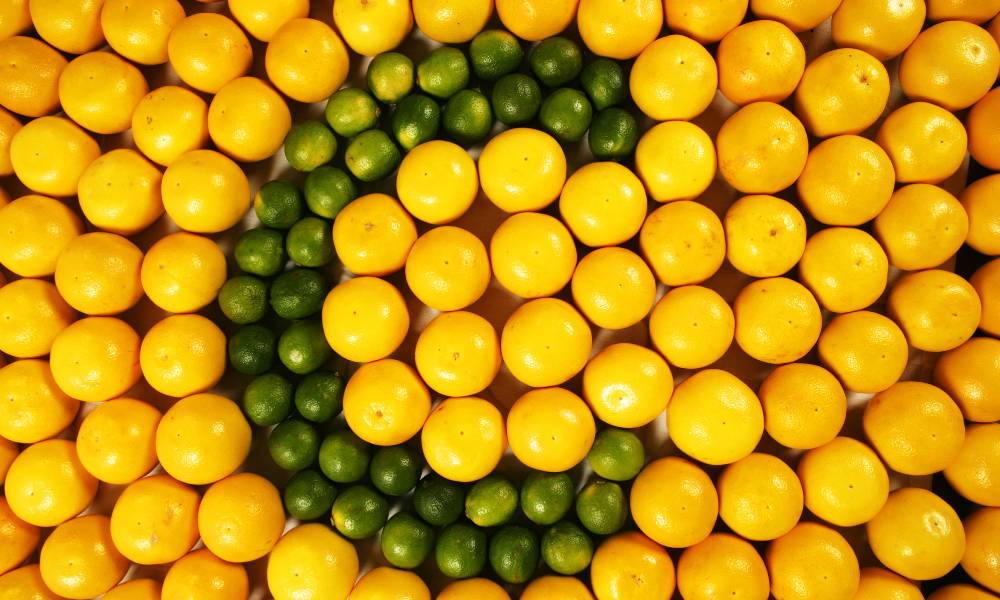 Integratori di Vitamina C: migliori prodotti e benefici