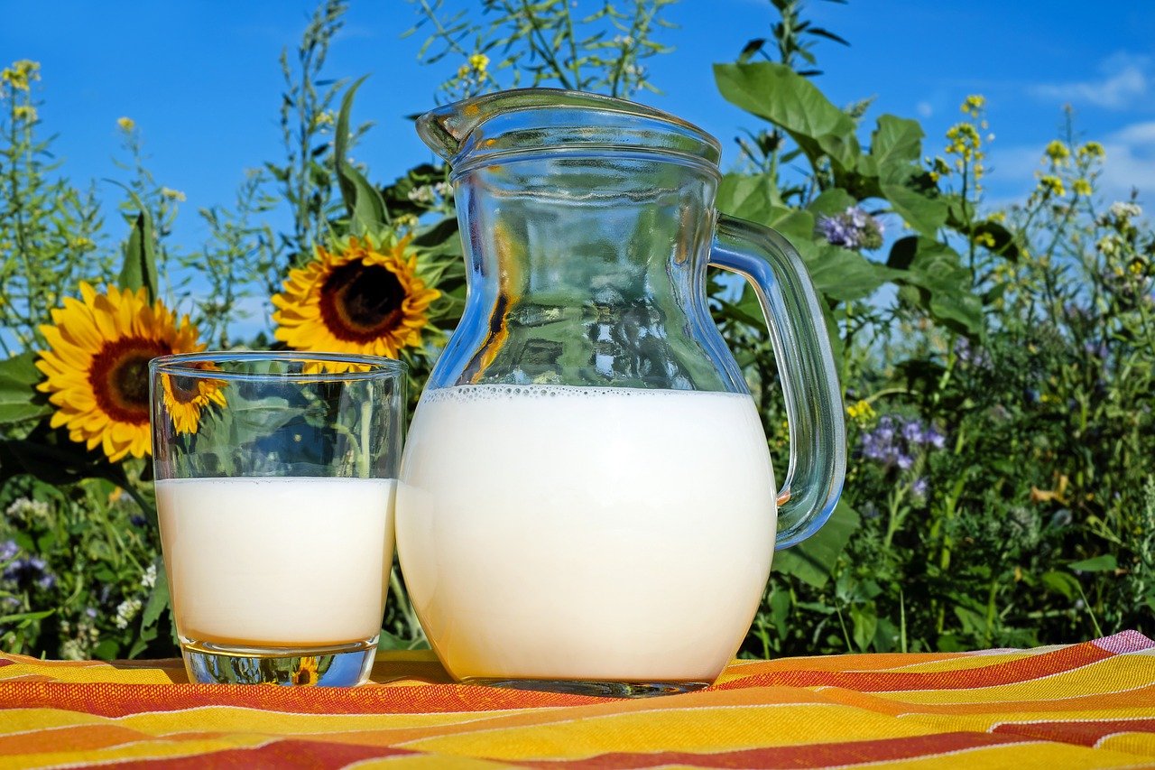 Latte, latticini ed eccesso di catarro: correlazioni