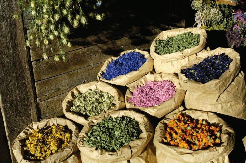 Le piante officinali, brevi cenni
