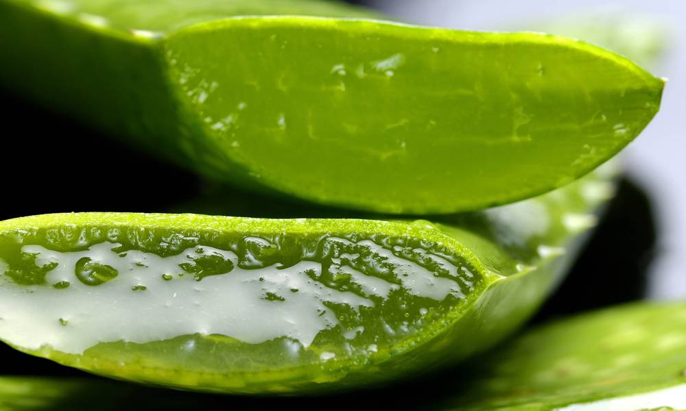 Migliori prodotti Zuccari: Aloe vera