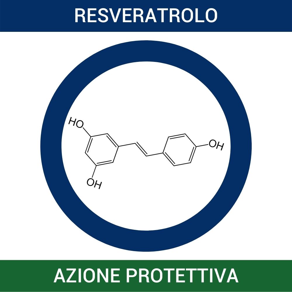 CREMA DERMOIDRATANTE ANTIOSSIDANTE - FARMACIA33