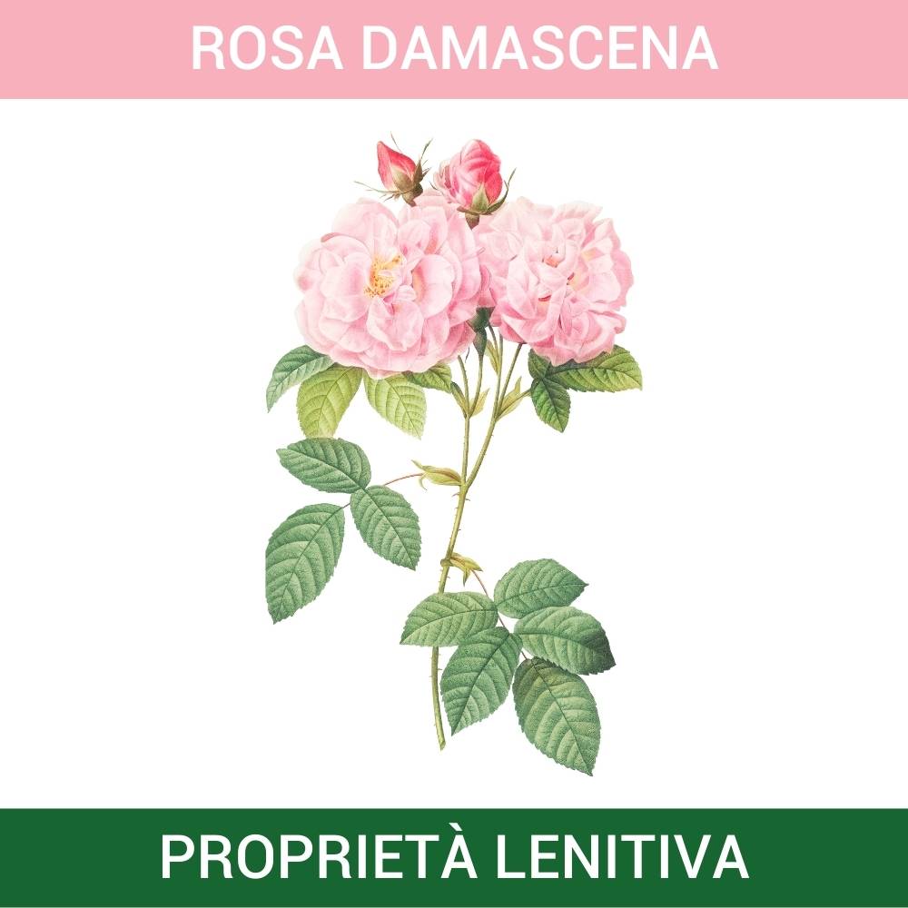 CREMA DERMOLIFTING TEXTURE RICCA - FARMACIA33