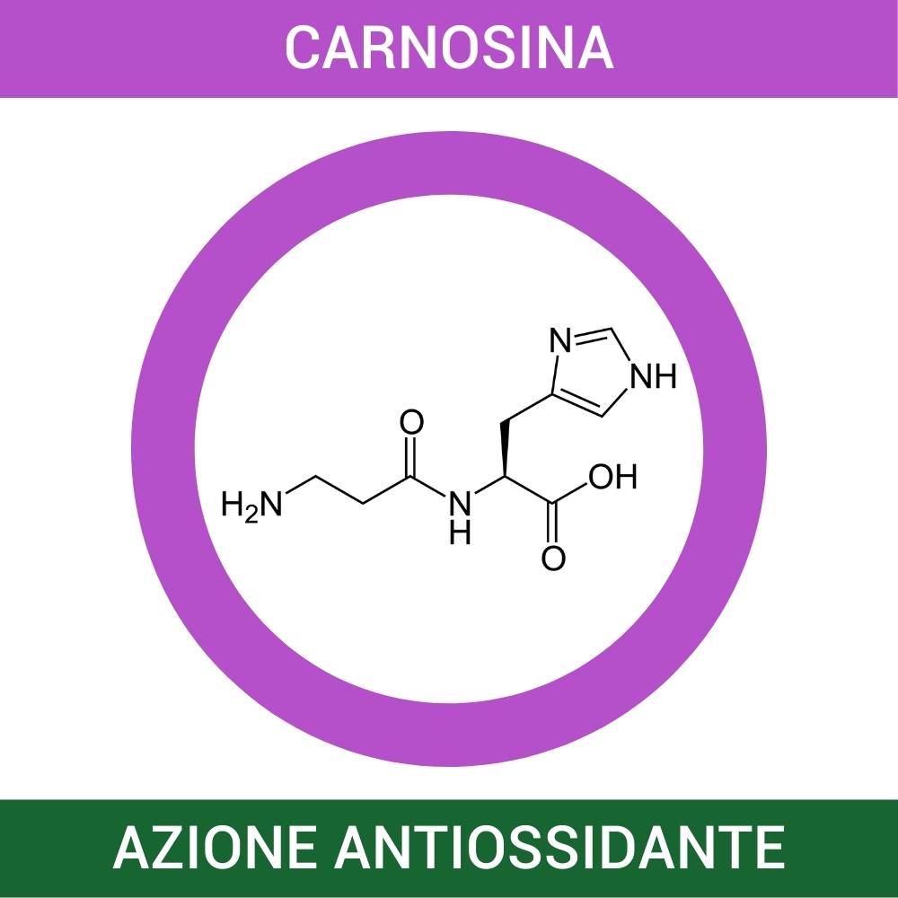 CREMA DERMORASSODANTE ELASTICIZZANTE CORPO - FARMACIA33