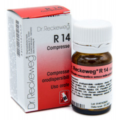 RECKEWEG R14 100 COMPRESSE - FARMACIA33