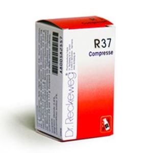 RECKEWEG R37 100 COMPRESSE - FARMACIA33