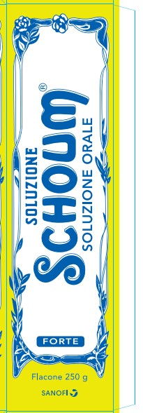 SOLUZIONE SCHOUM*FTE 250G - FARMACIA33