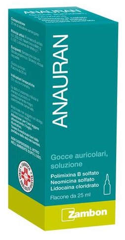 ANAURAN*GTT AURIC FL 25ML - FARMACIA33