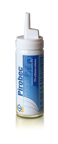 PIROBEC*CUT SCHIUMA 50G 1% - FARMACIA33