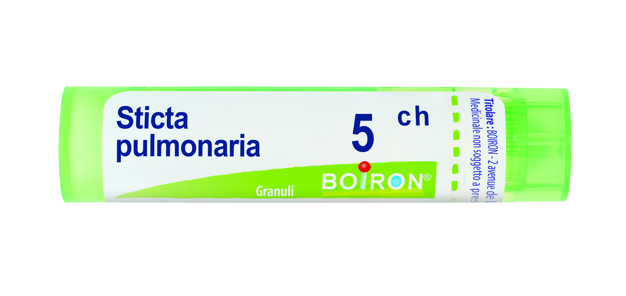 STICTA PULM BOI*5CH GR 4G - FARMACIA33