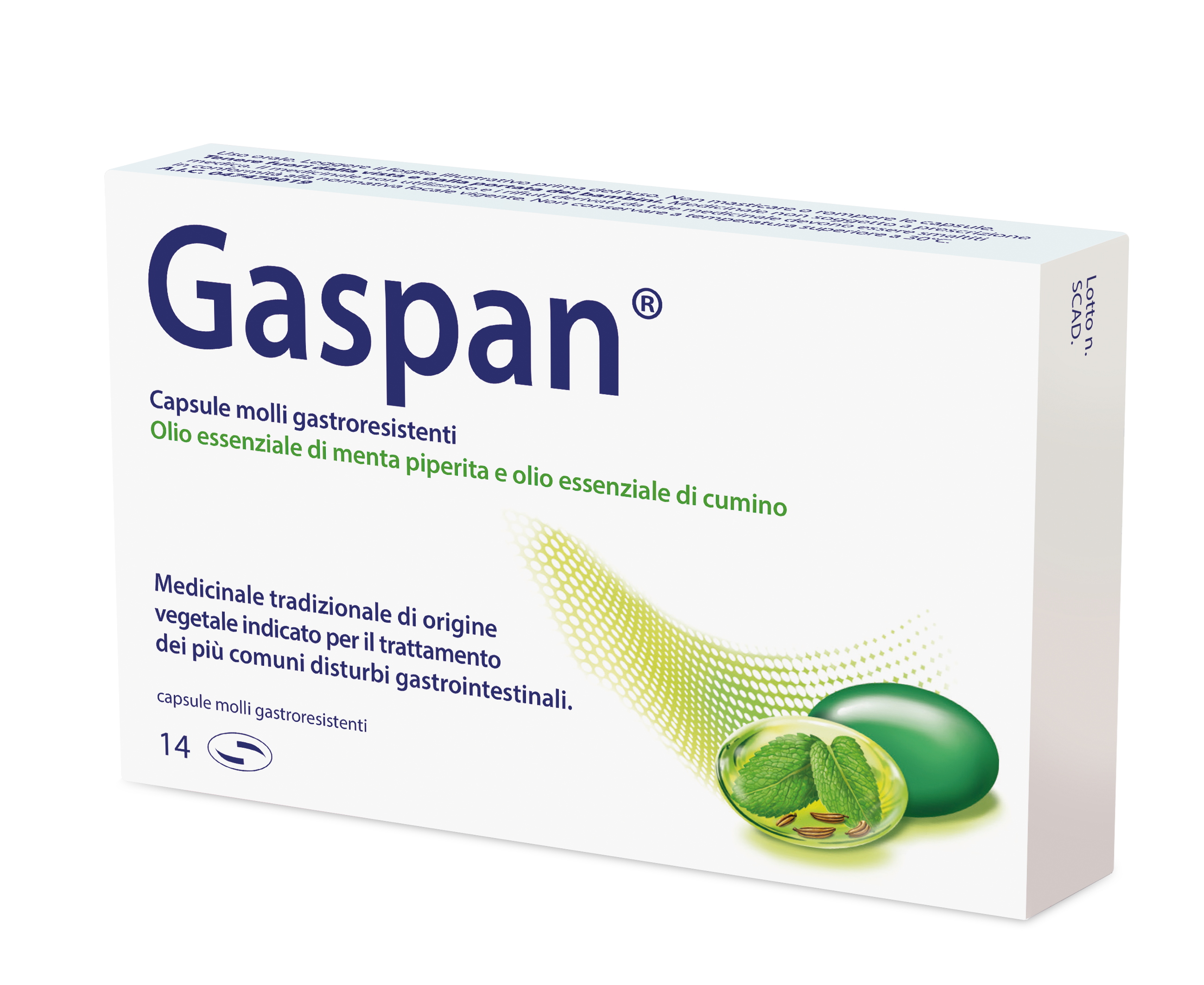 GASPAN*14CPS MOLLI GASTRORES - FARMACIA33