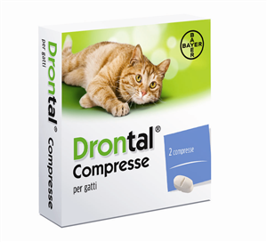 DRONTAL*2CPR GATTO - FARMACIA33