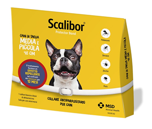 SCALIBOR PROTECTOR BAND*BI48CM - FARMACIA33