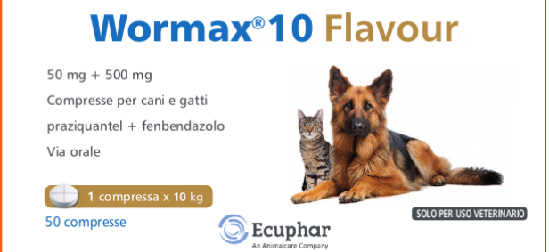 WORMAX 10 FLAVOUR*50CPR 50+500 - FARMACIA33