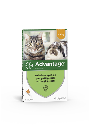 ADVANTAGE*4PIP 0,4ML SPOTON - FARMACIA33