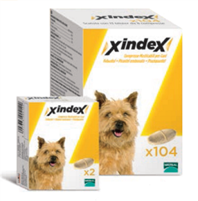 XINDEX*2CPR MAST CANI - FARMACIA33