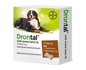 DRONTAL MULTI AR CARNE XL*2CPR - FARMACIA33